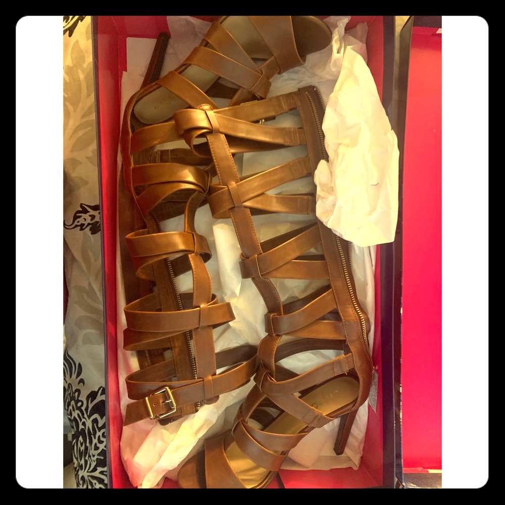 Gladiator heeled sandals